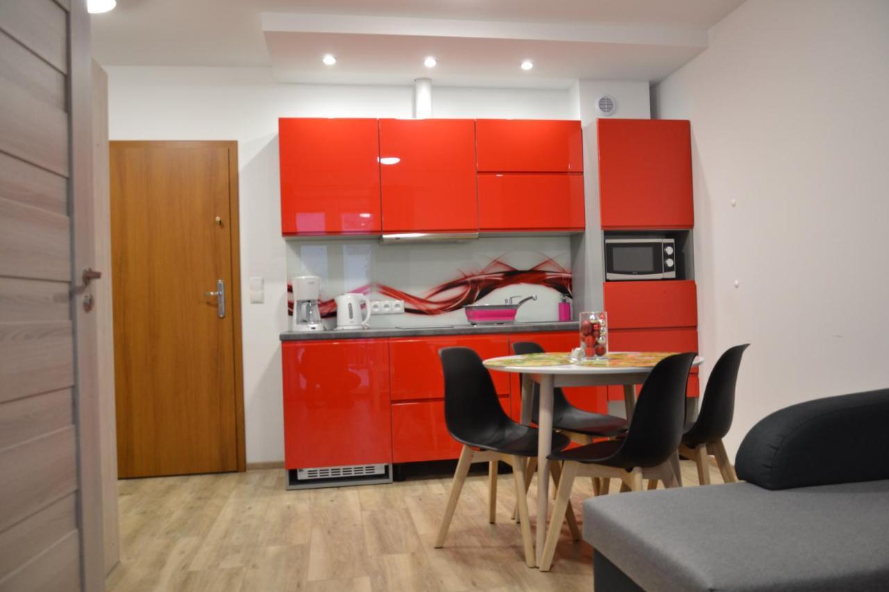 Apartamenty Pod Rudka Czarna Gora Agroturystyka Siena Buitenkant foto