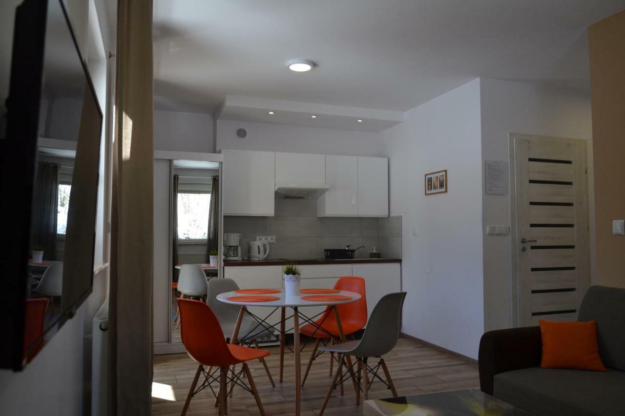Apartamenty Pod Rudka Czarna Gora Agroturystyka Siena Buitenkant foto